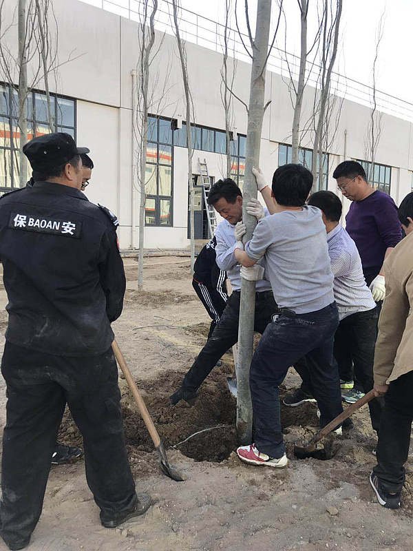微信圖片_20190402113654.jpg